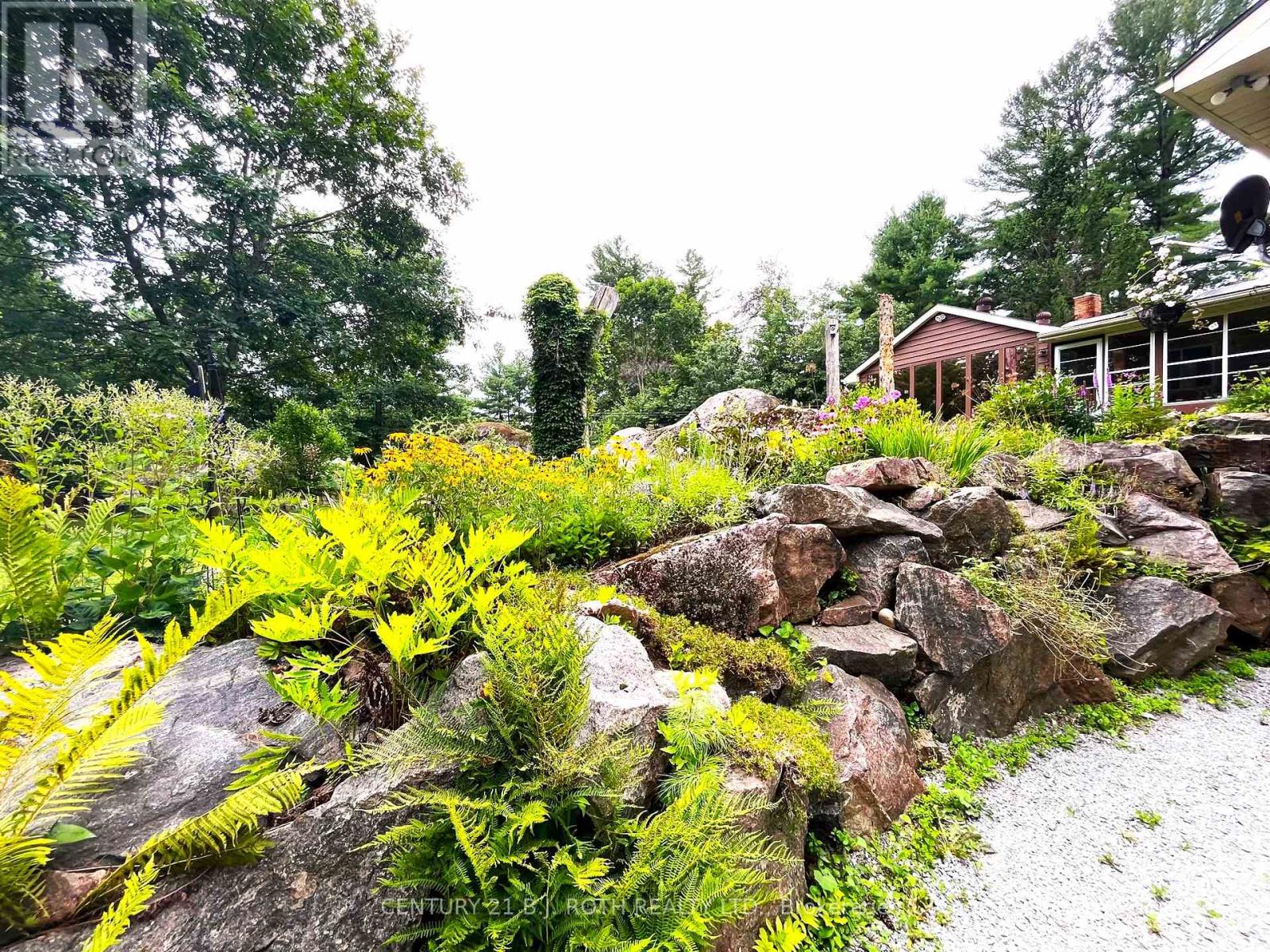 Property at 20 BLACK RIVER ROAD image 5