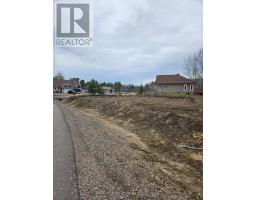 23 BIRCHVIEW DRIVE, Madawaska Valley, Ontario
