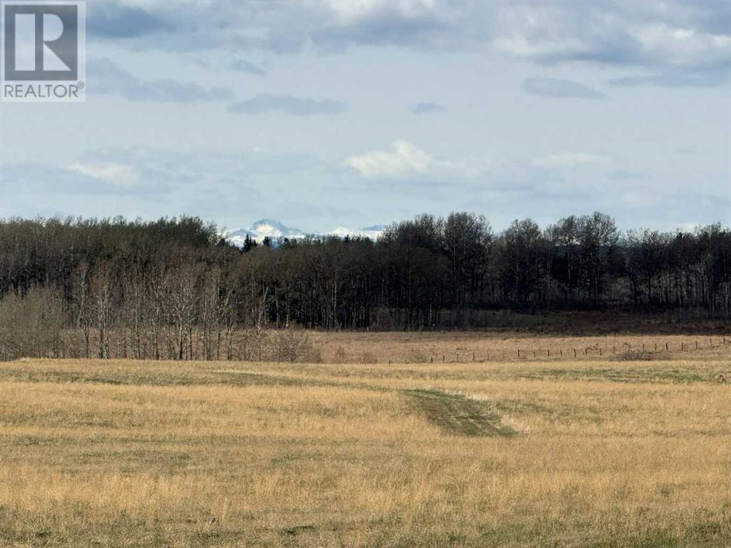 Rr40 South Of Twp Rd 293, Rural Mountain View County, Alberta  T0M 0S0 - Photo 16 - A2216785