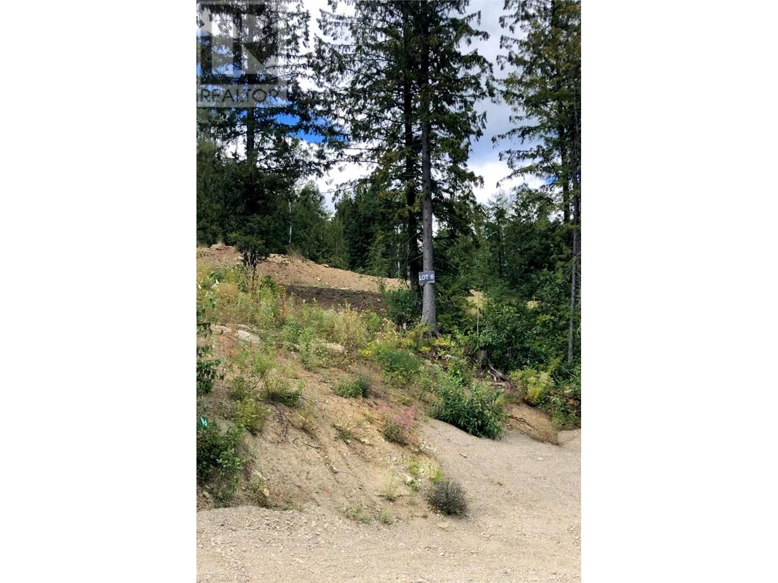 302 Ridge Road, Rossland, British Columbia  V0G 1Y0 - Photo 2 - 10346488
