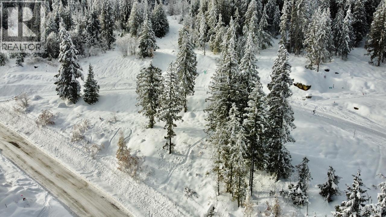 302 Ridge Road, Rossland, British Columbia  V0G 1Y0 - Photo 7 - 10346488