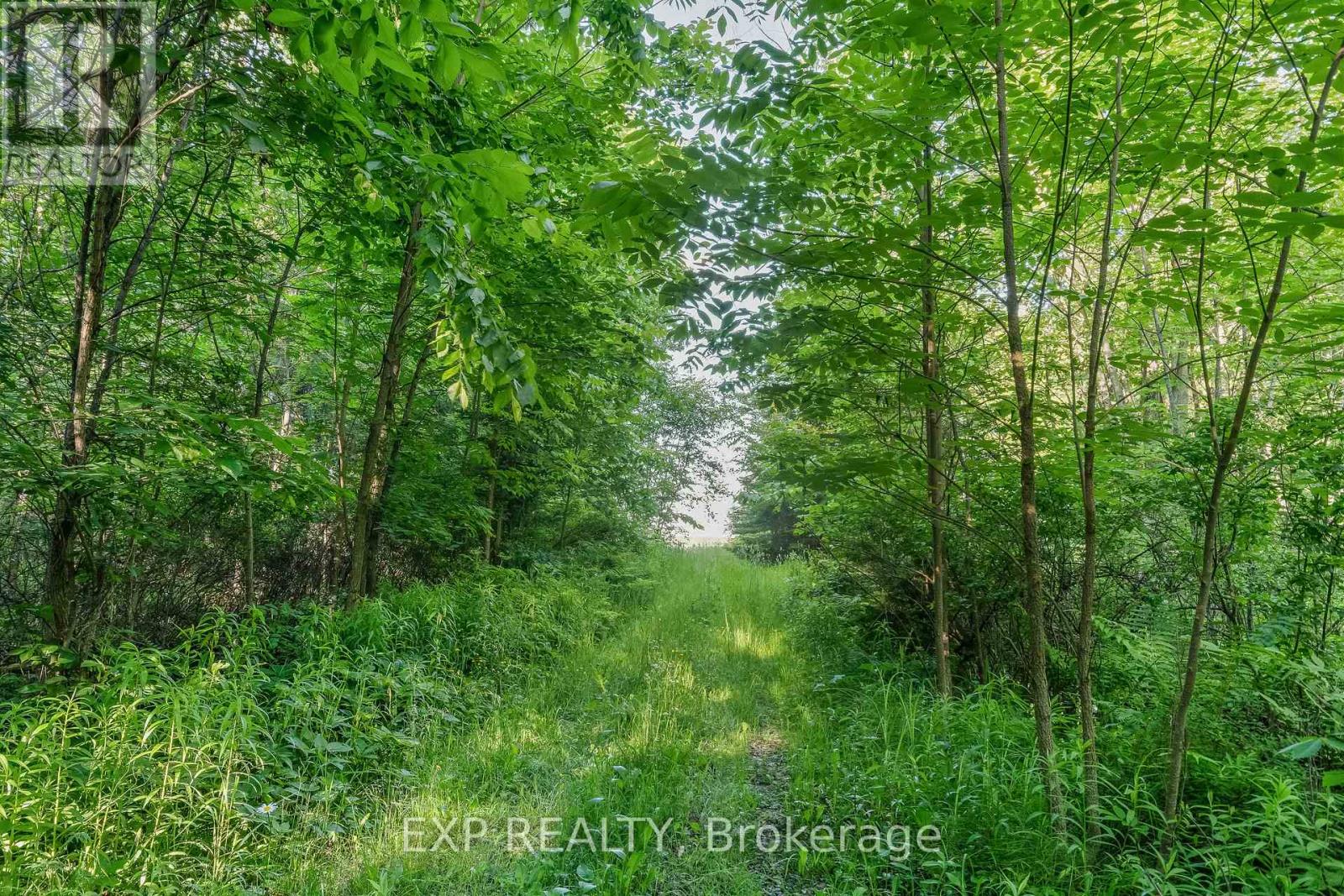 1585 County 46 Road, Havelock-Belmont-Methuen, Ontario  K0L 1Z0 - Photo 47 - X12126159