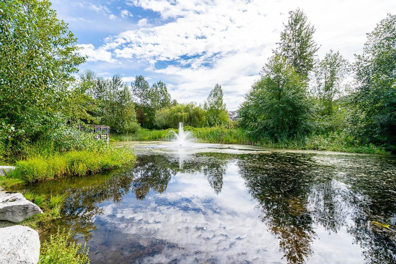 6 10489 Delsom Crescent, Delta, British Columbia  V4C 0B9 - Photo 31 - R2991568
