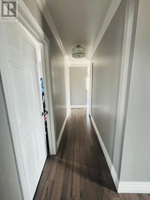31 Main Street, New Wes Valley, Newfoundland & Labrador  A0G 1J0 - Photo 17 - 1284632