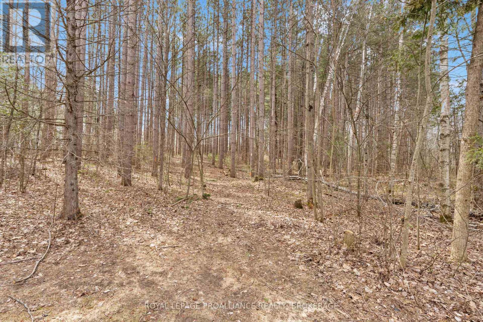 7558 Highway 38, South Frontenac, Ontario  K0H 2W0 - Photo 39 - X12126389