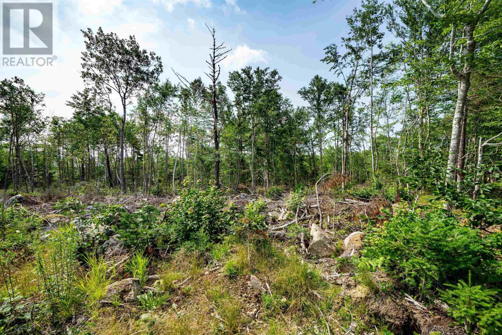 Lot 3 Victory Road, Victory, Nova Scotia  B0S 1A0 - Photo 4 - 202509683