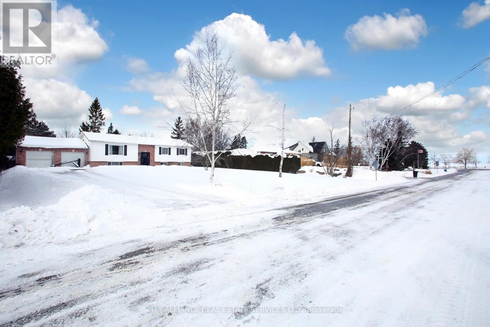 28 Joel Avenue, Georgina, Ontario  L0E 1S0 - Photo 2 - N12126414
