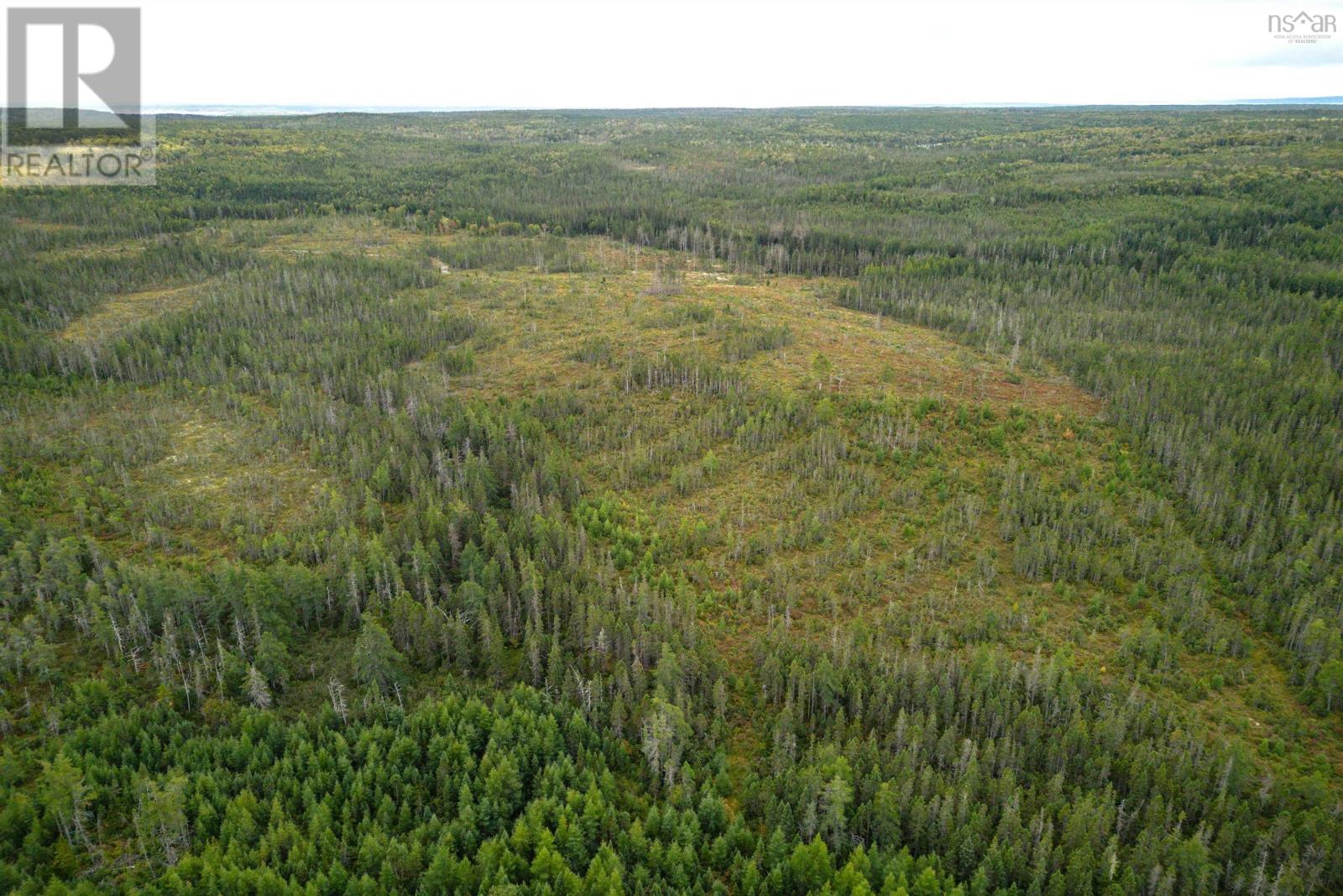 44 Acres Rear Black River Road, Grande Anse, Nova Scotia  B0E 3K0 - Photo 3 - 202426605