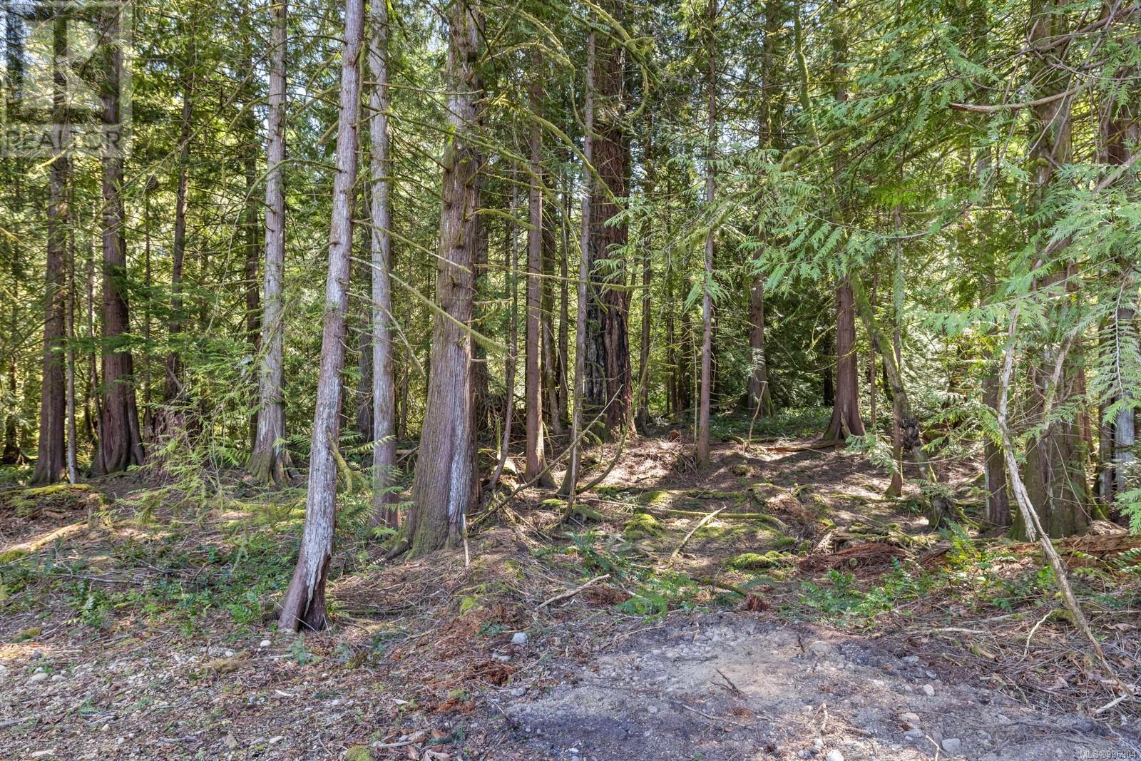 1054 Fern Ridge Dr, Mill Bay, British Columbia  V0R 2P2 - Photo 62 - 996904