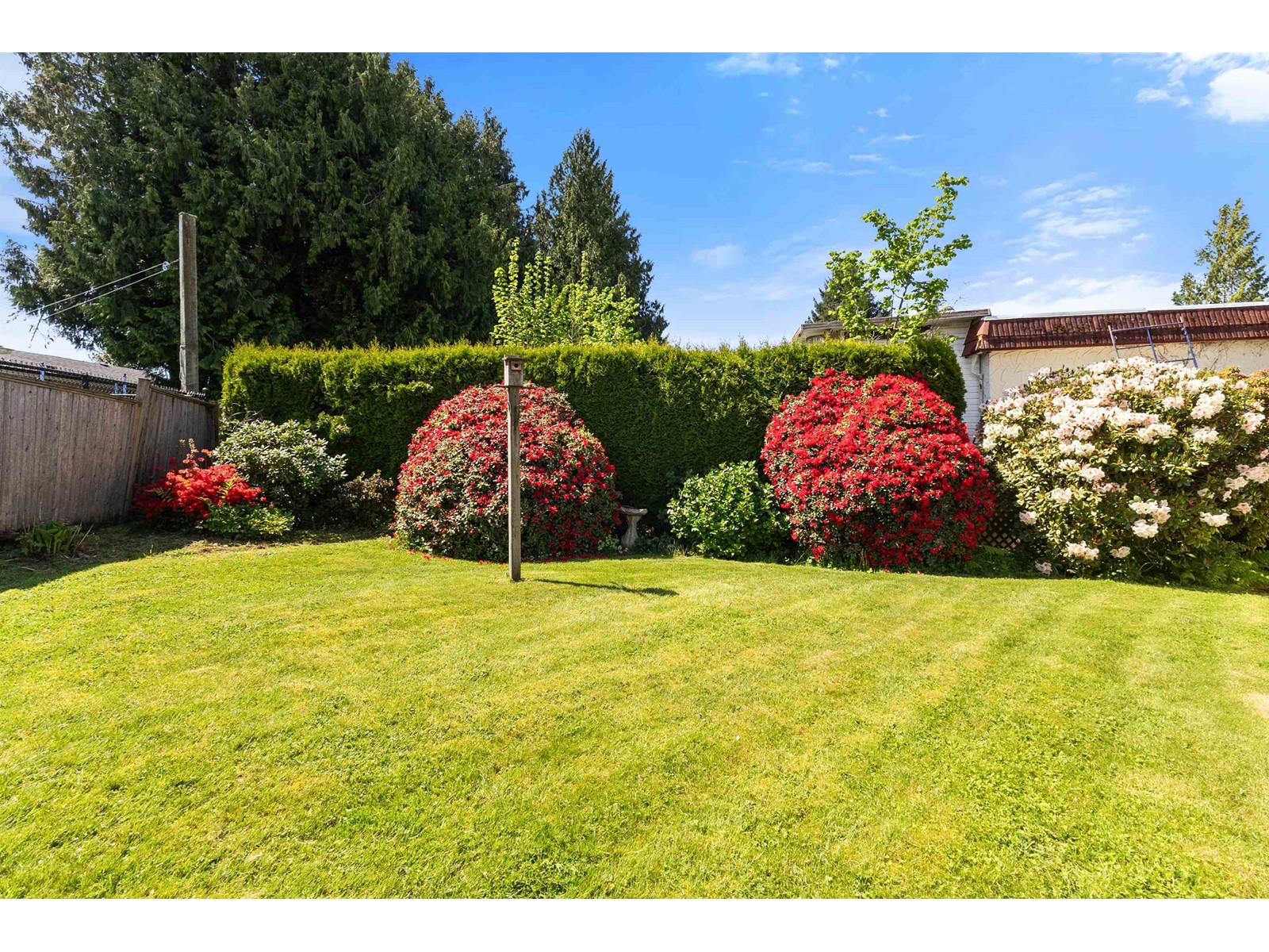 2643 Sunnyside Crescent, Abbotsford, British Columbia  V2T 1Y3 - Photo 38 - R2997828