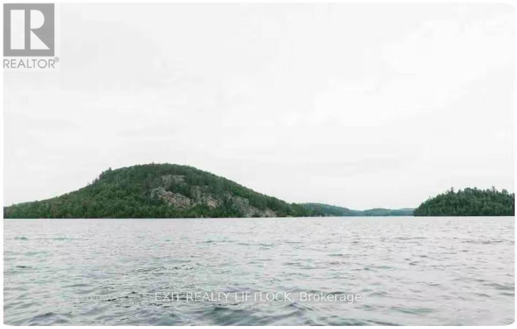 1519 North Baptiste Lake Road, Hastings Highlands, Ontario  K0L 2S0 - Photo 4 - X12127010