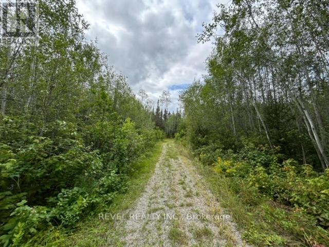 2008 Connaught Road, Timmins, Ontario  P0N 1A0 - Photo 50 - T12126985