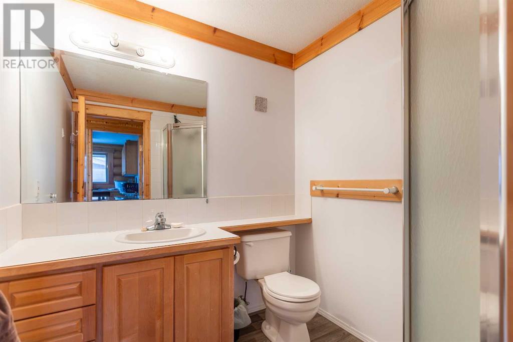 40507 Range Road 12, Bentley, Alberta  T0C 0J0 - Photo 8 - A2198240