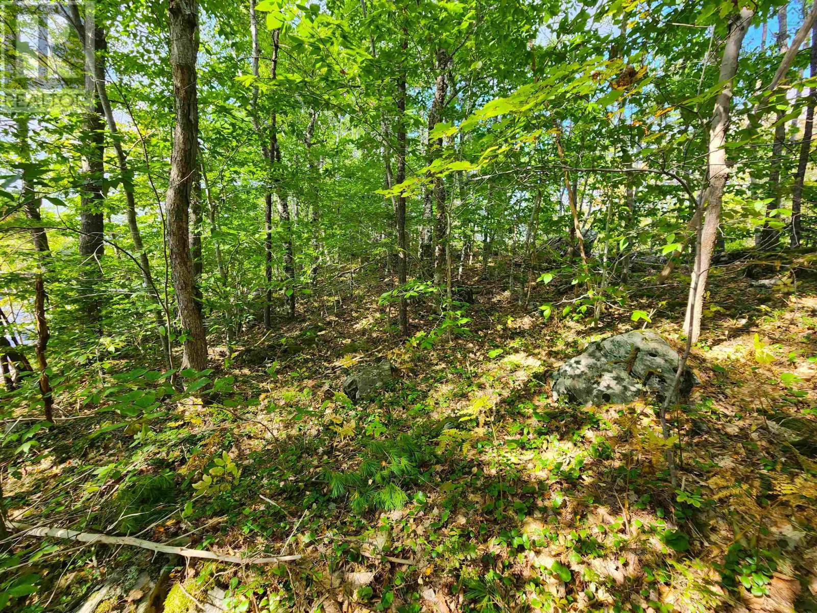 Murray Meadows, Riversdale, Nova Scotia  B0J 2H0 - Photo 18 - 202321813
