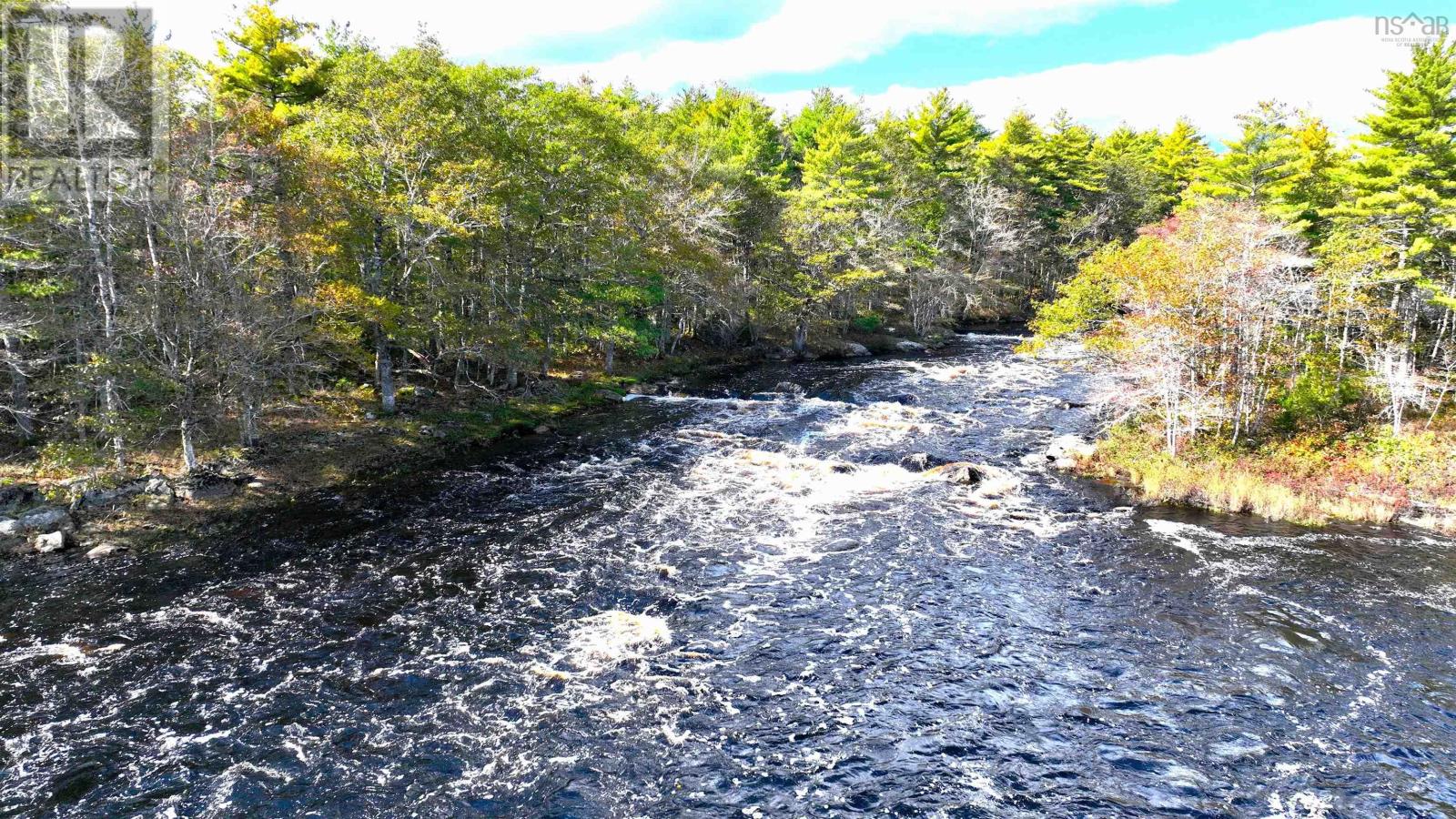 Murray Meadows, Riversdale, Nova Scotia  B0J 2H0 - Photo 23 - 202321813