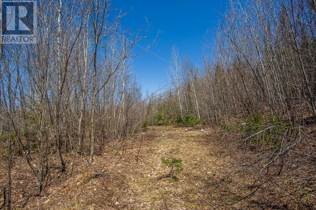 Off Hwy 638 Near Mccarrel Lake Rd, Echo Bay, Ontario  P0S 1C0 - Photo 17 - SM250989