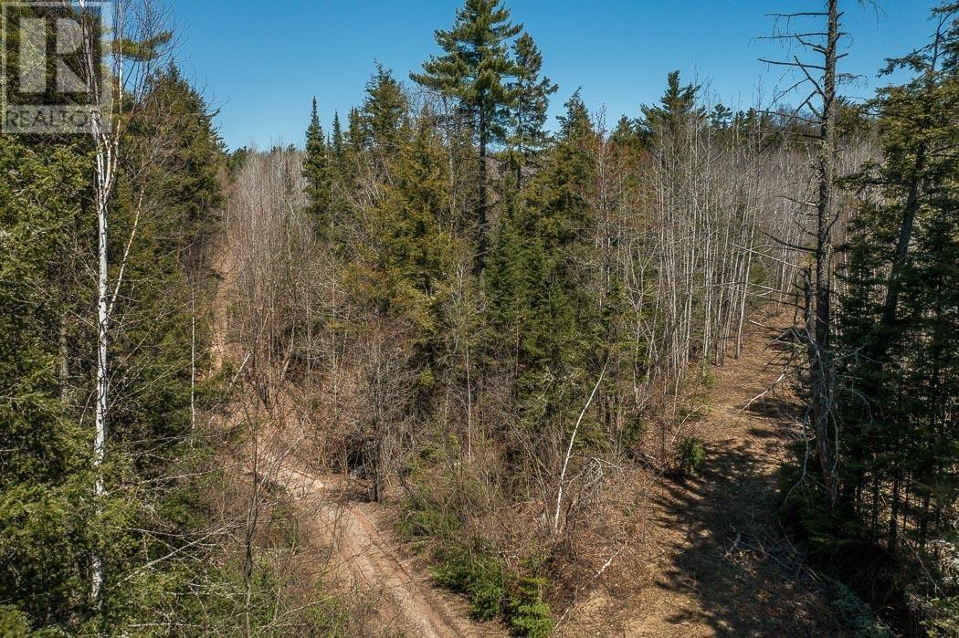 Off Hwy 638 Near Mccarrel Lake Rd, Echo Bay, Ontario  P0S 1C0 - Photo 2 - SM250989