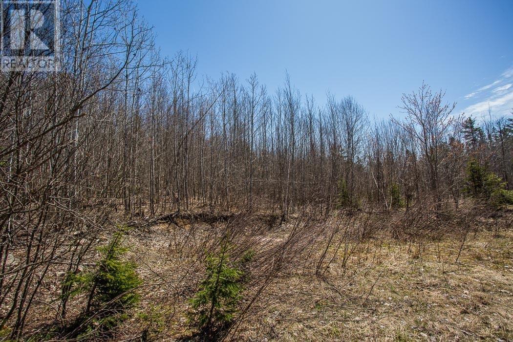 Off Hwy 638 Near Mccarrel Lake Rd, Echo Bay, Ontario  P0S 1C0 - Photo 25 - SM250989