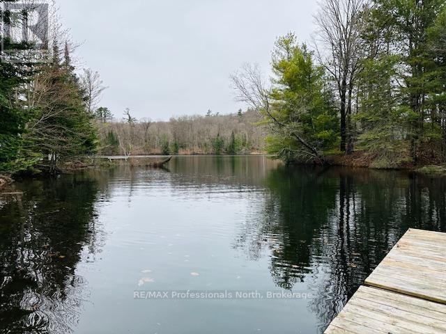 1010 Sturgeon Drive, Minden Hills, Ontario  K0M 2K0 - Photo 49 - X12087159