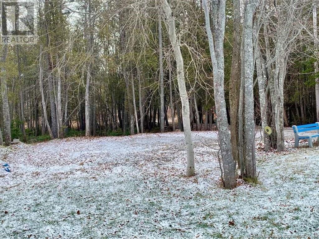 279 Goulette Point, Charlo, New Brunswick  E8E 2K5 - Photo 5 - NB113342
