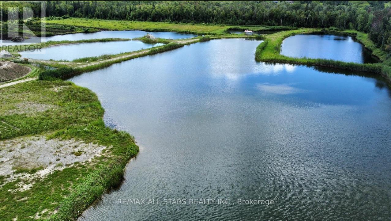 349 Zephyr Road, Uxbridge, Ontario  L0C 1C0 - Photo 24 - N12127033