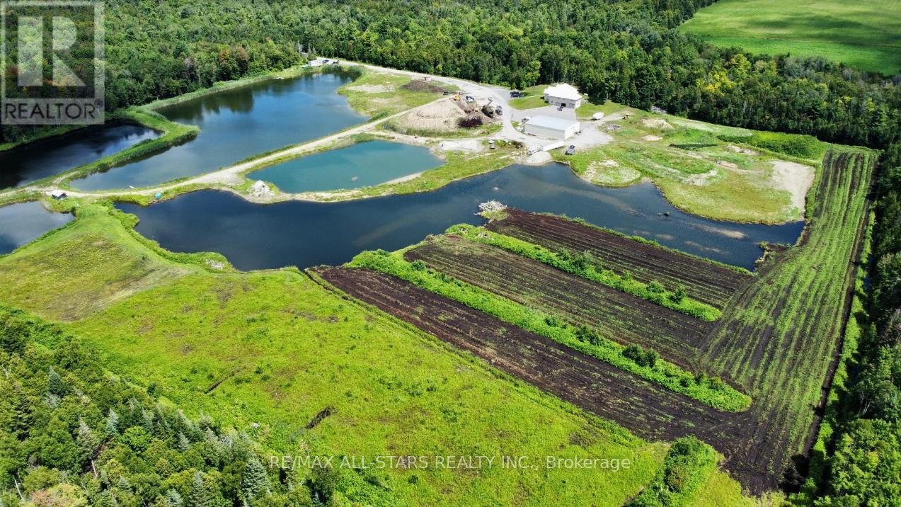 349 Zephyr Road, Uxbridge, Ontario  L0C 1C0 - Photo 25 - N12127033