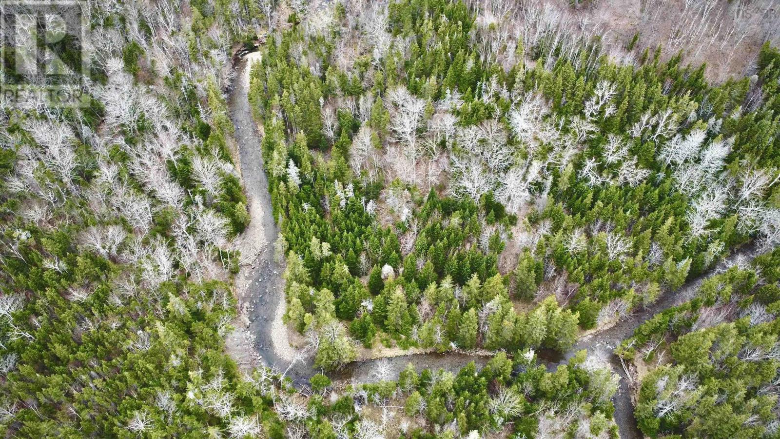 Lot Route 19, Broad Cove Chapel, Nova Scotia  B0E 1N0 - Photo 6 - 202509984