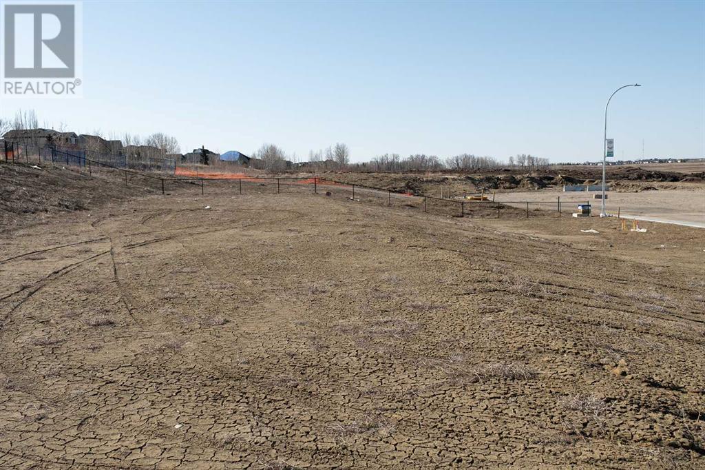 420 Lakewood Drive, Strathmore, Alberta  T1P 2J5 - Photo 7 - A2215696