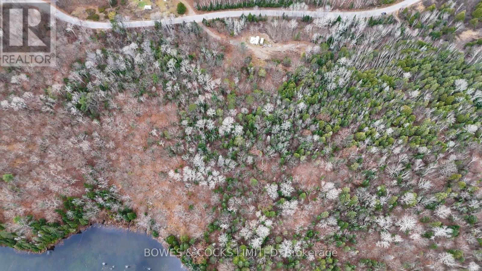 154 Little Ireland Road, Brudenell, Ontario K0L 2M0 - Photo 10 - X12127411