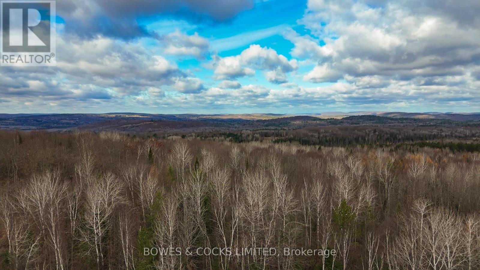 154 Little Ireland Road, Brudenell, Ontario K0L 2M0 - Photo 15 - X12127411