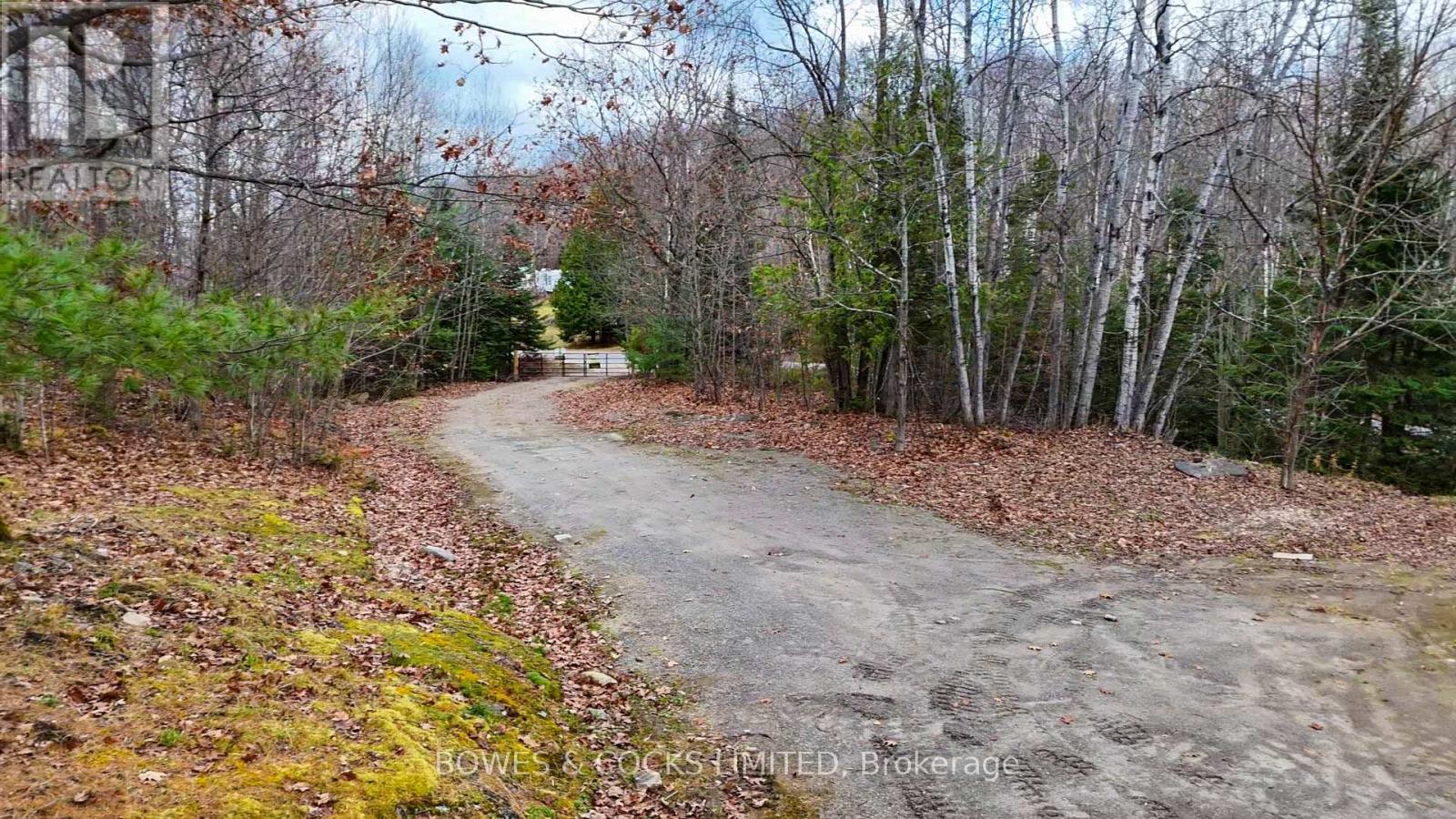 154 Little Ireland Road, Brudenell, Ontario K0L 2M0 - Photo 16 - X12127411
