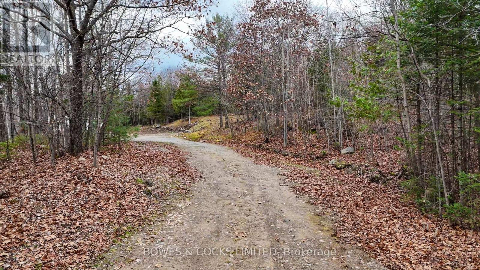 154 Little Ireland Road, Brudenell, Ontario K0L 2M0 - Photo 2 - X12127411