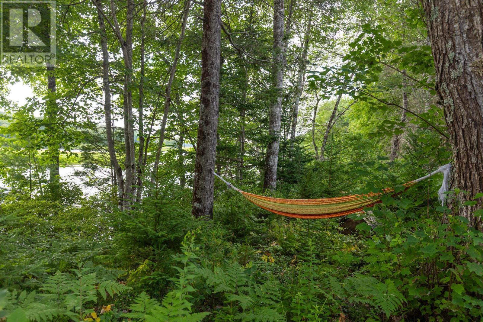 1542 Canaan Road Road, Canaan, Nova Scotia  B0W 3M0 - Photo 14 - 202509988