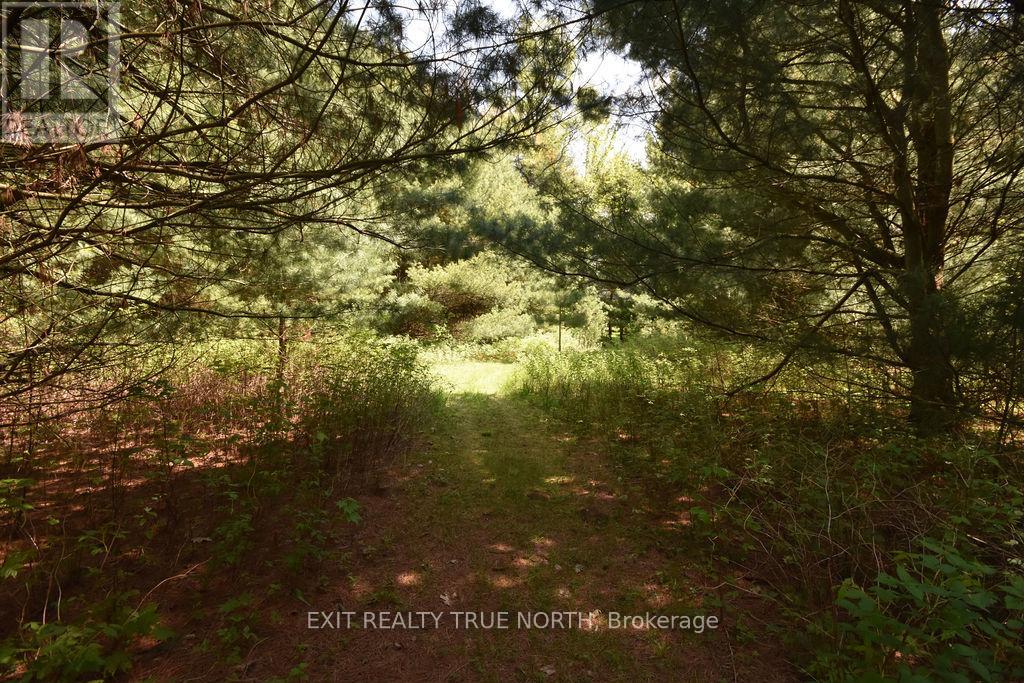 2 Sycamore Circle, Springwater, Ontario  L0L 2K0 - Photo 37 - S12127310