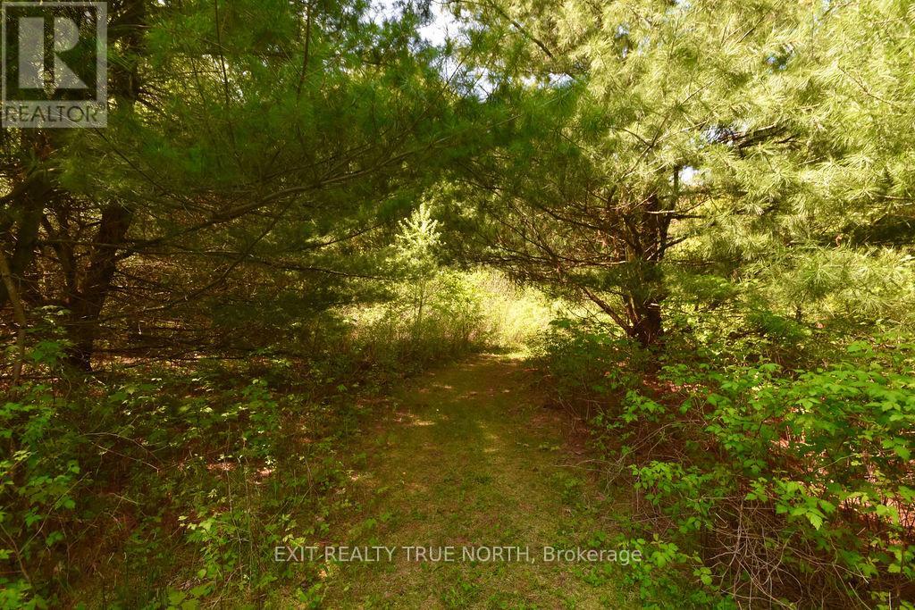 2 Sycamore Circle, Springwater, Ontario  L0L 2K0 - Photo 38 - S12127310