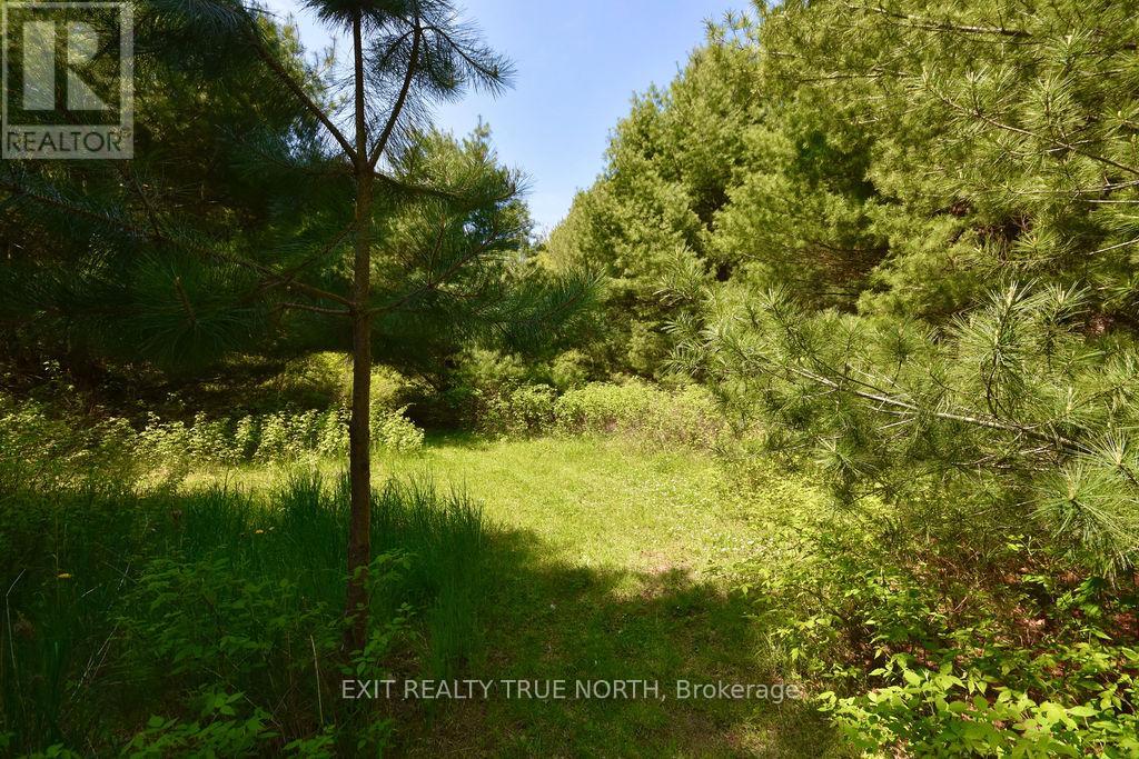 2 Sycamore Circle, Springwater, Ontario  L0L 2K0 - Photo 39 - S12127310