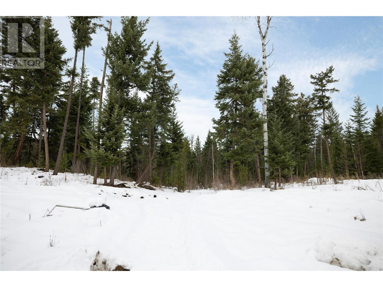6739 Karjula Road, Falkland, British Columbia  V0E 1W0 - Photo 43 - 10344116