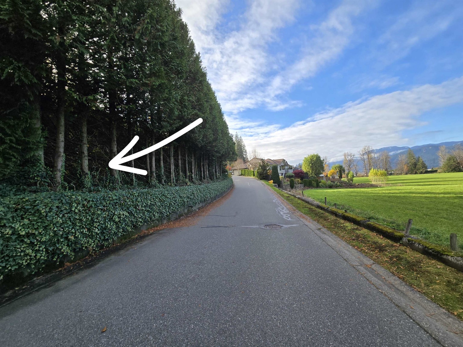 1 47470 Chartwell Drive, Little Mountain, Chilliwack, British Columbia  V2P 8A2 - Photo 1 - R2998849