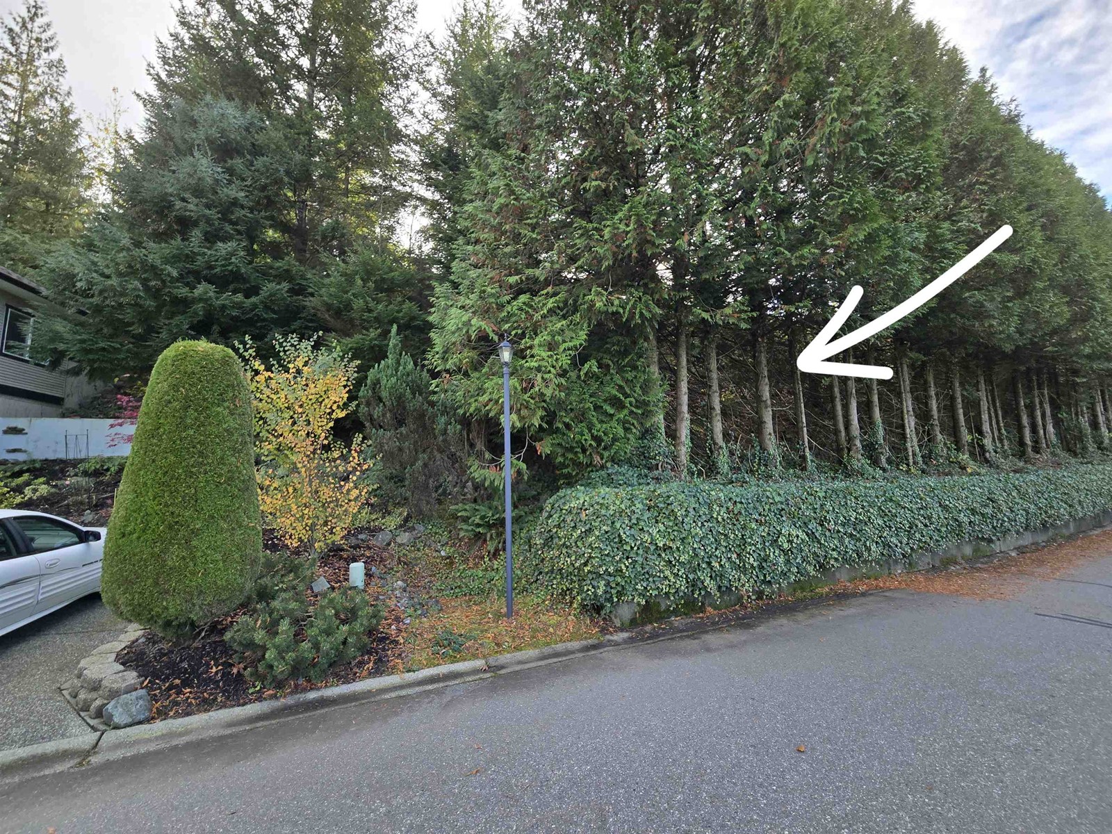 1 47470 Chartwell Drive, Little Mountain, Chilliwack, British Columbia  V2P 8A2 - Photo 4 - R2998849
