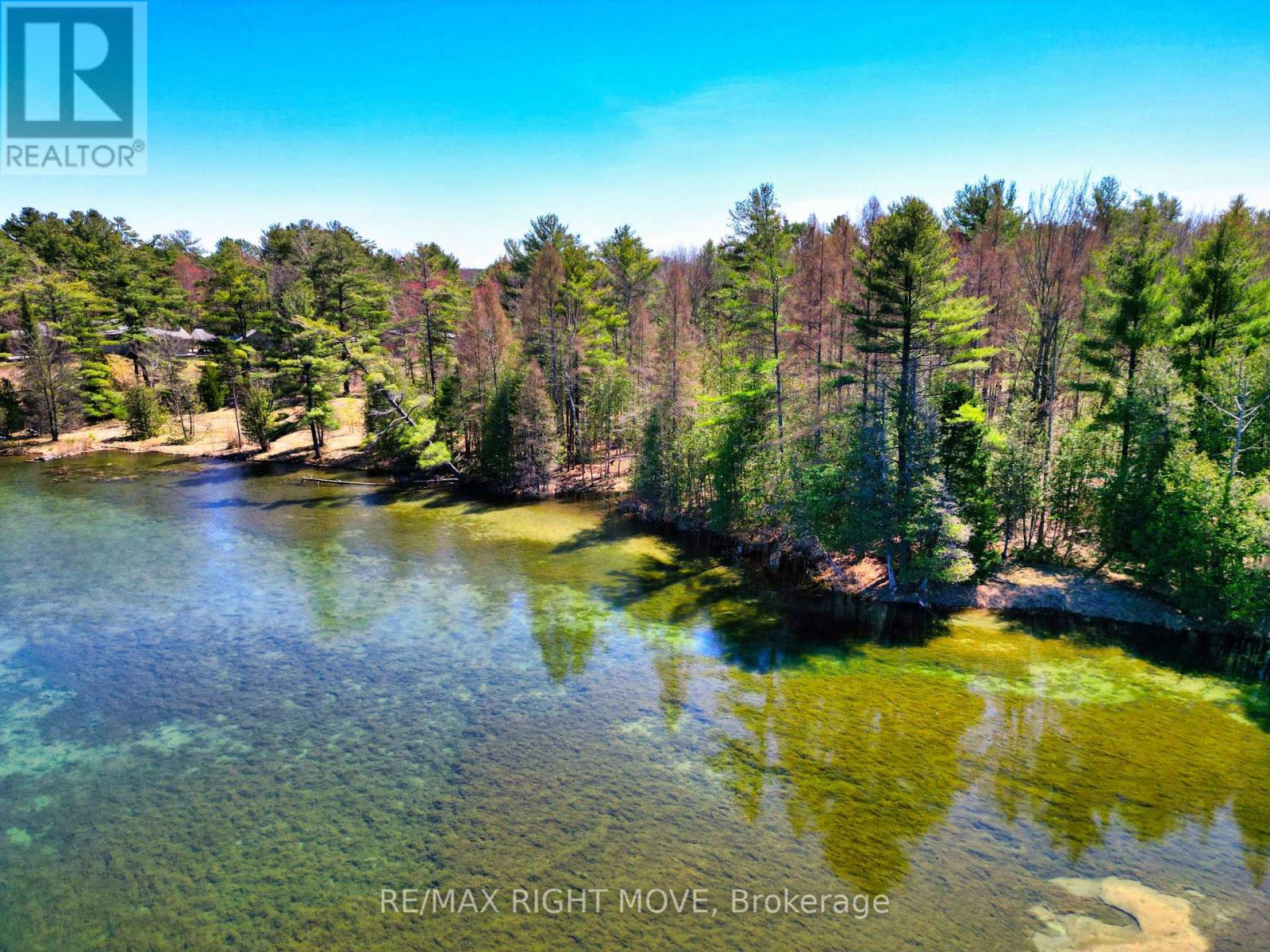 4544 Bowles Lane, Severn (Washago), Ontario  L0K 2B0 - Photo 3 - S12127521