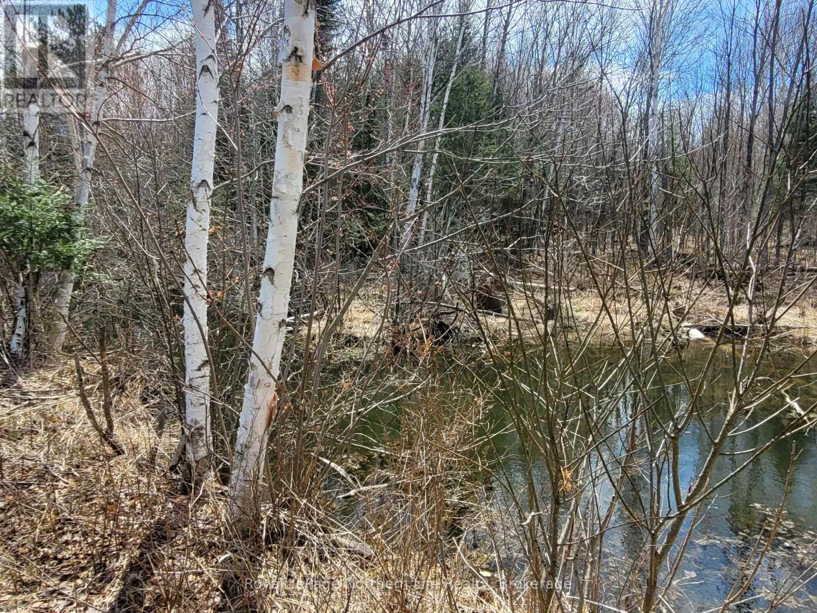 38 Montreuil Road, Mattawan, Ontario  P0H 1V0 - Photo 9 - X12127653