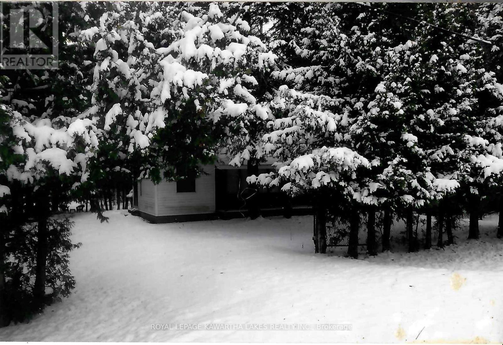 81 Mcguire Beach Road, Kawartha Lakes, Ontario  K0M 2B0 - Photo 11 - X12127841