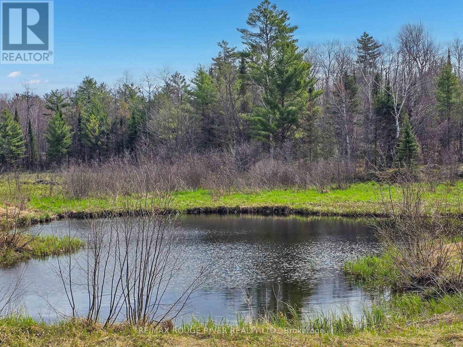 1205 Fair Grounds Road, Ramara, Ontario  L0K 1B0 - Photo 13 - S12126111