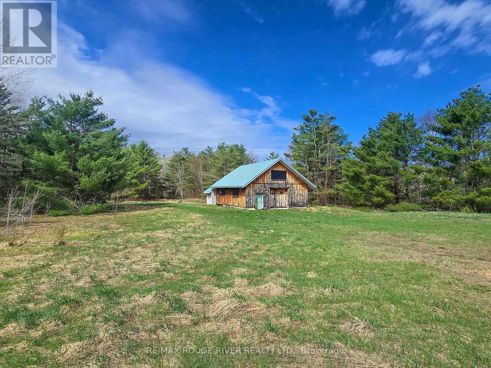 1205 Fair Grounds Road, Ramara, Ontario  L0K 1B0 - Photo 8 - S12126111