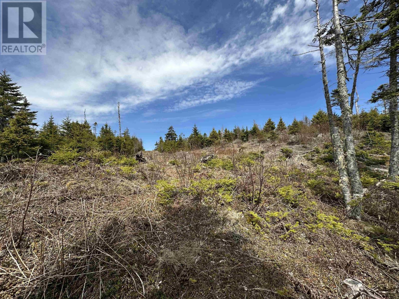 1952 Passage Road, Sheet Harbour Passage, Nova Scotia  B0J 2R0 - Photo 28 - 202501561