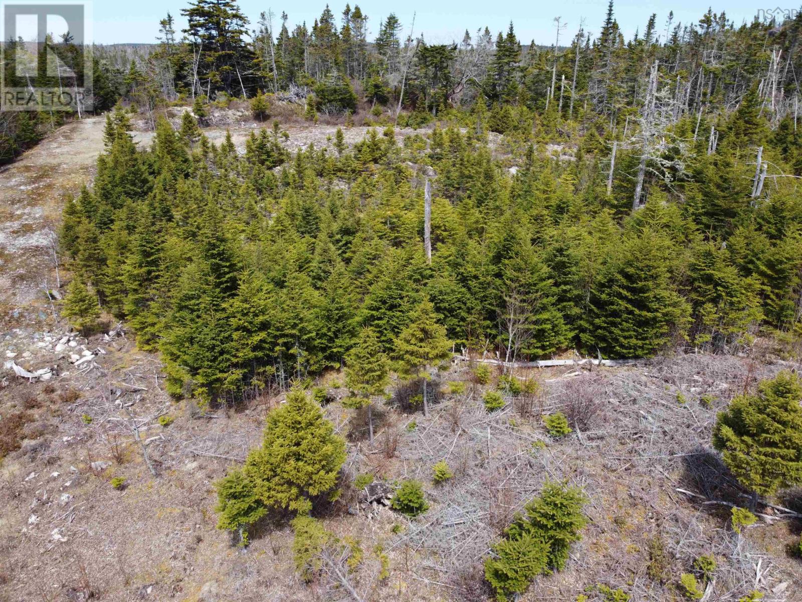 1952 Passage Road, Sheet Harbour Passage, Nova Scotia  B0J 2R0 - Photo 7 - 202501561