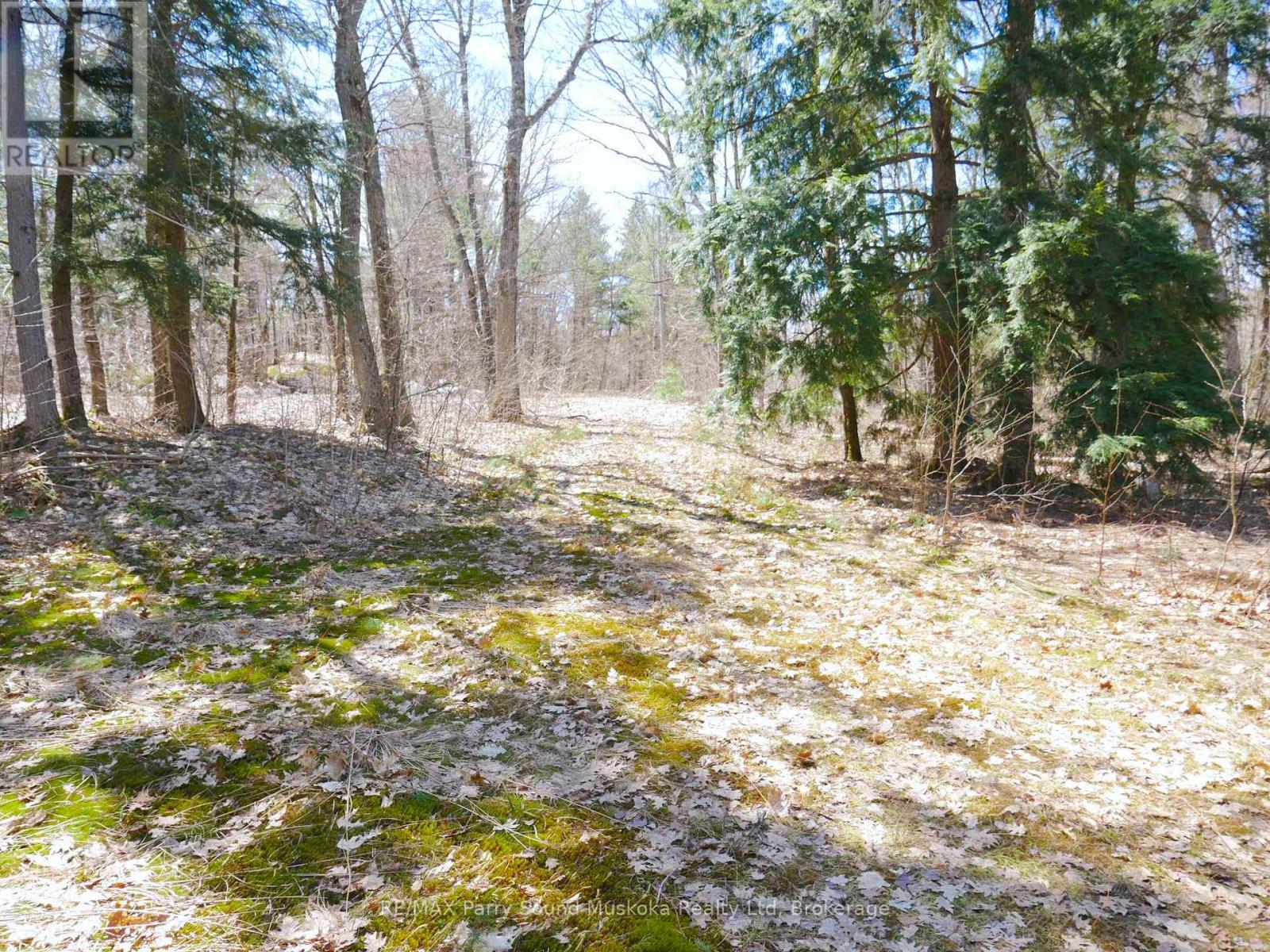 3 Greenwood Camp Road, Seguin, Ontario  P2A 2W8 - Photo 18 - X12114584