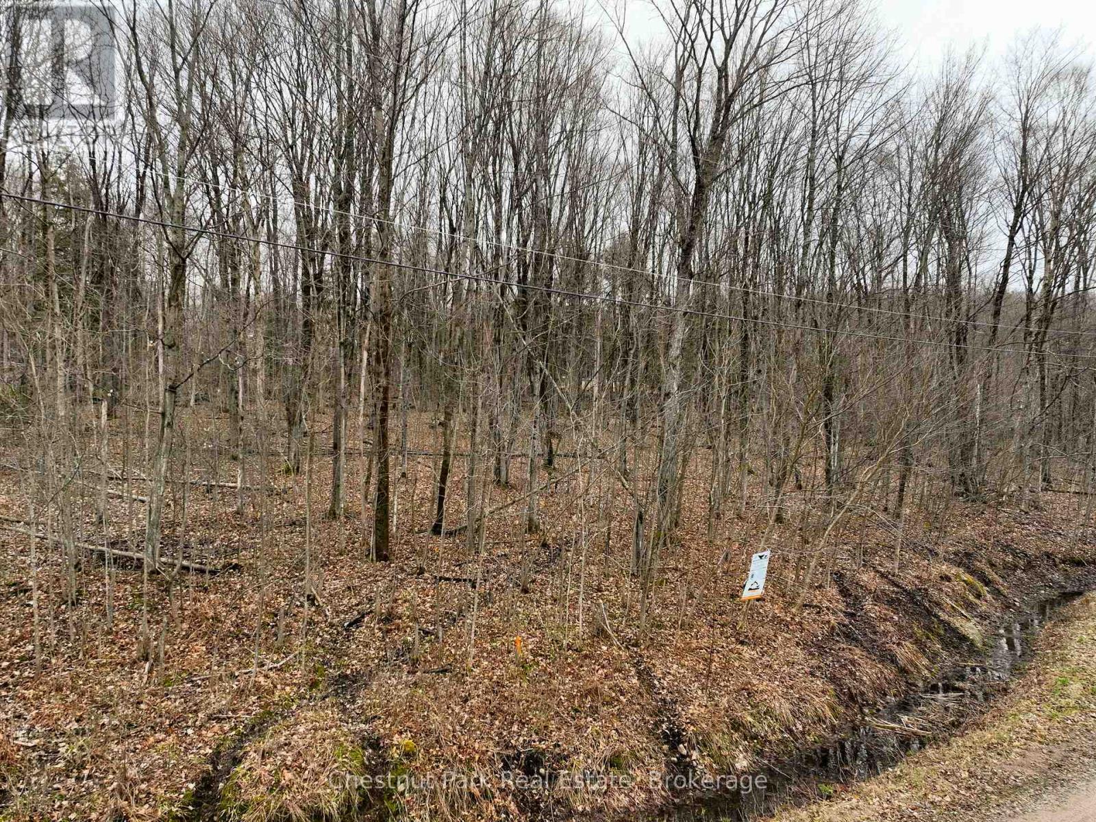 Lot 26 Maple Ridge Road, Nipissing, Ontario  P0A 1Z0 - Photo 3 - X12127966