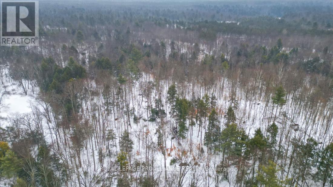 8 Clark Line Road, Addington Highlands, Ontario  K0H 1P0 - Photo 19 - X11989492