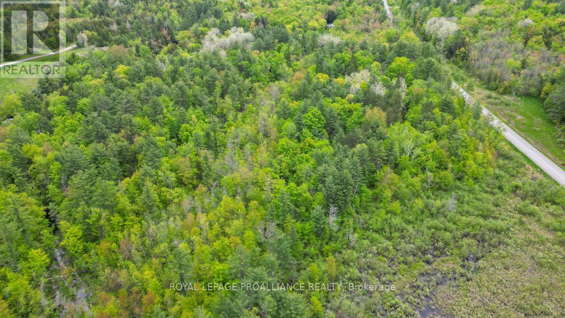 8 Clark Line Road, Addington Highlands (Addington Highlands), Ontario  K0H 1P0 - Photo 12 - X11989492